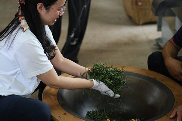 07b240be5c4546a8b2250050c2fcff58.jpg 炒茶叶.jpg